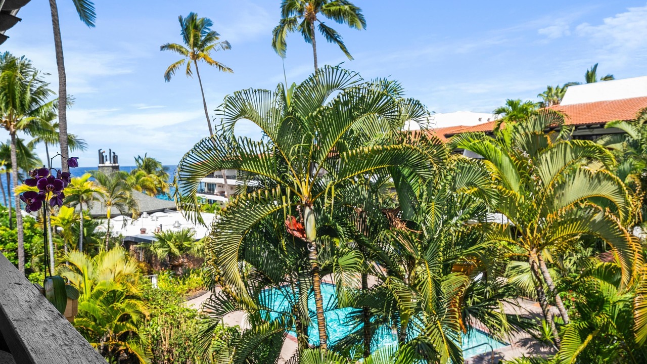 Photo of Outdoor in Kailua-Kona