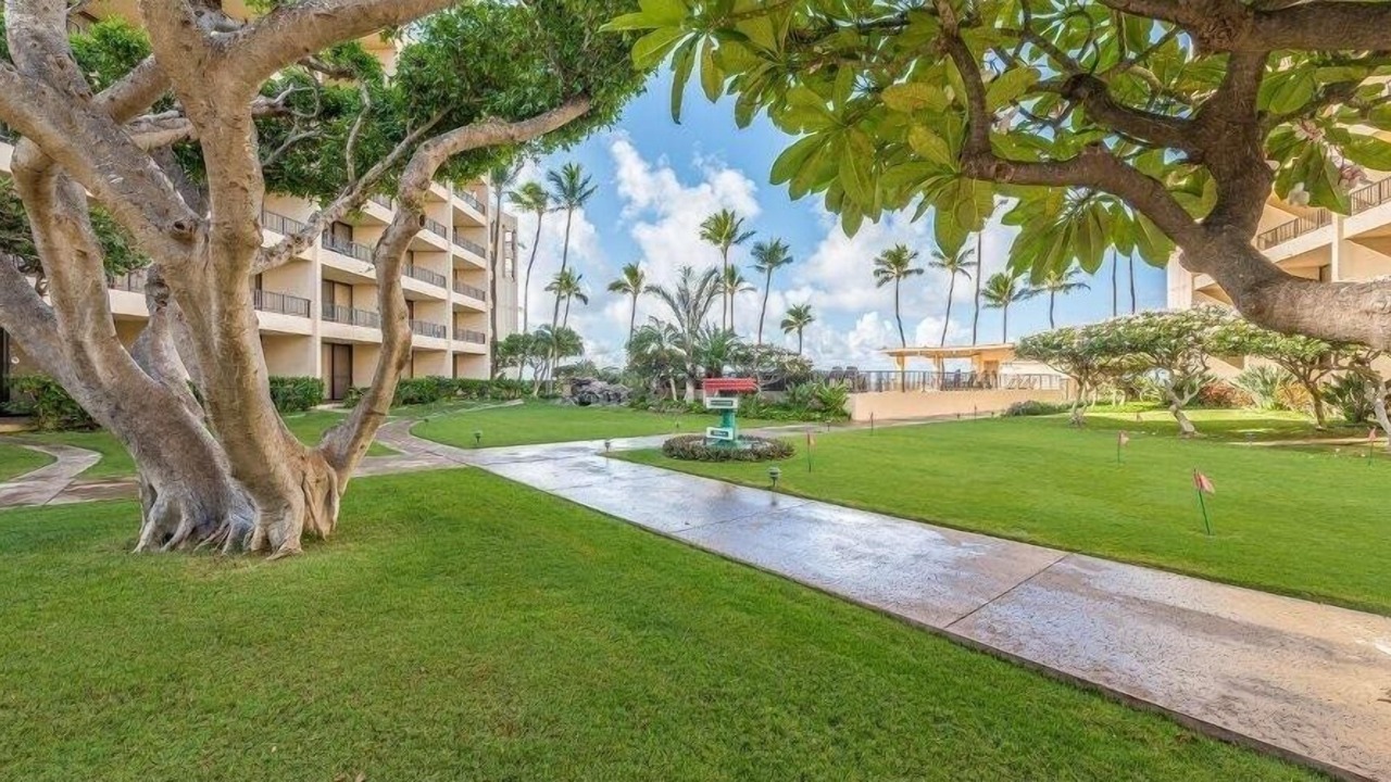Photo of Others in Kihei