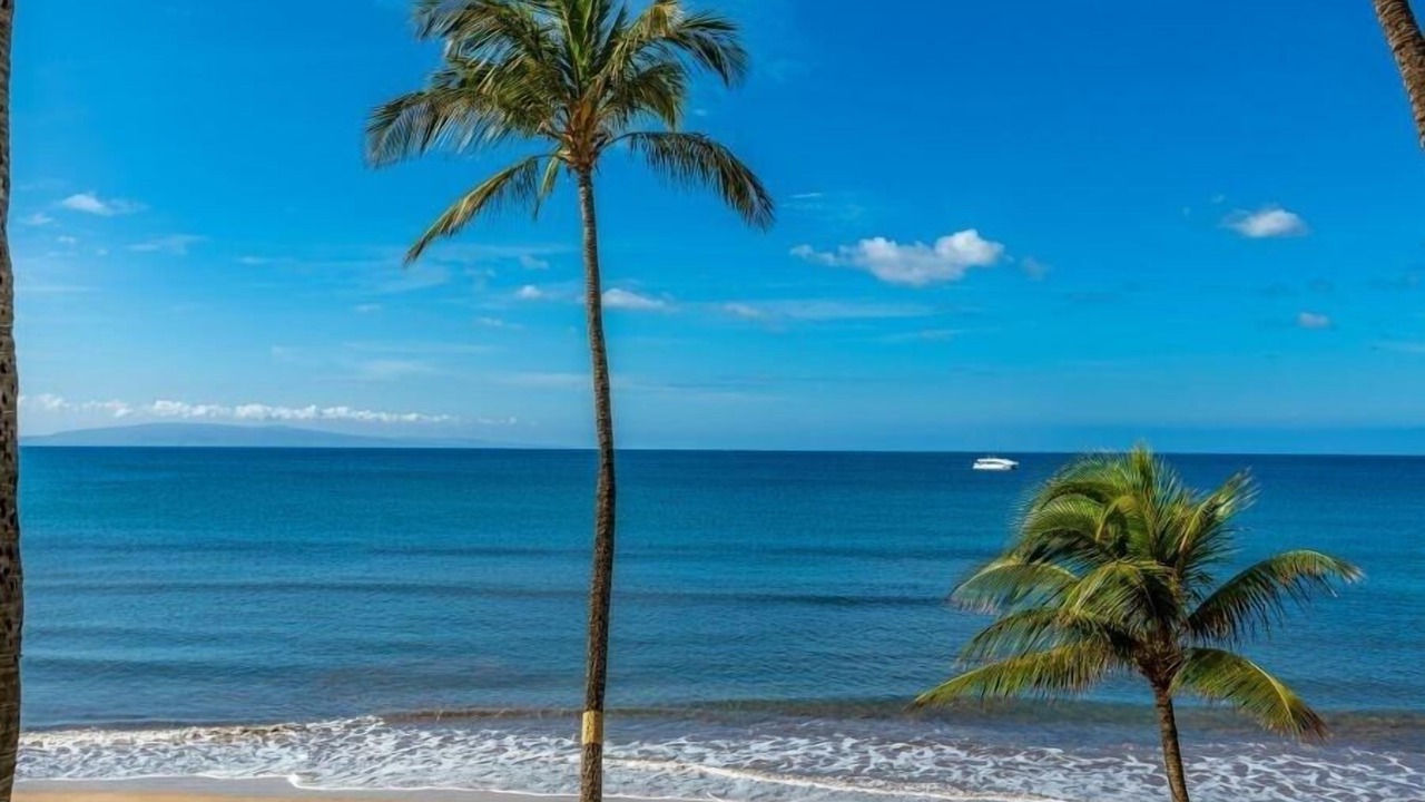 Photo of Others in Kihei