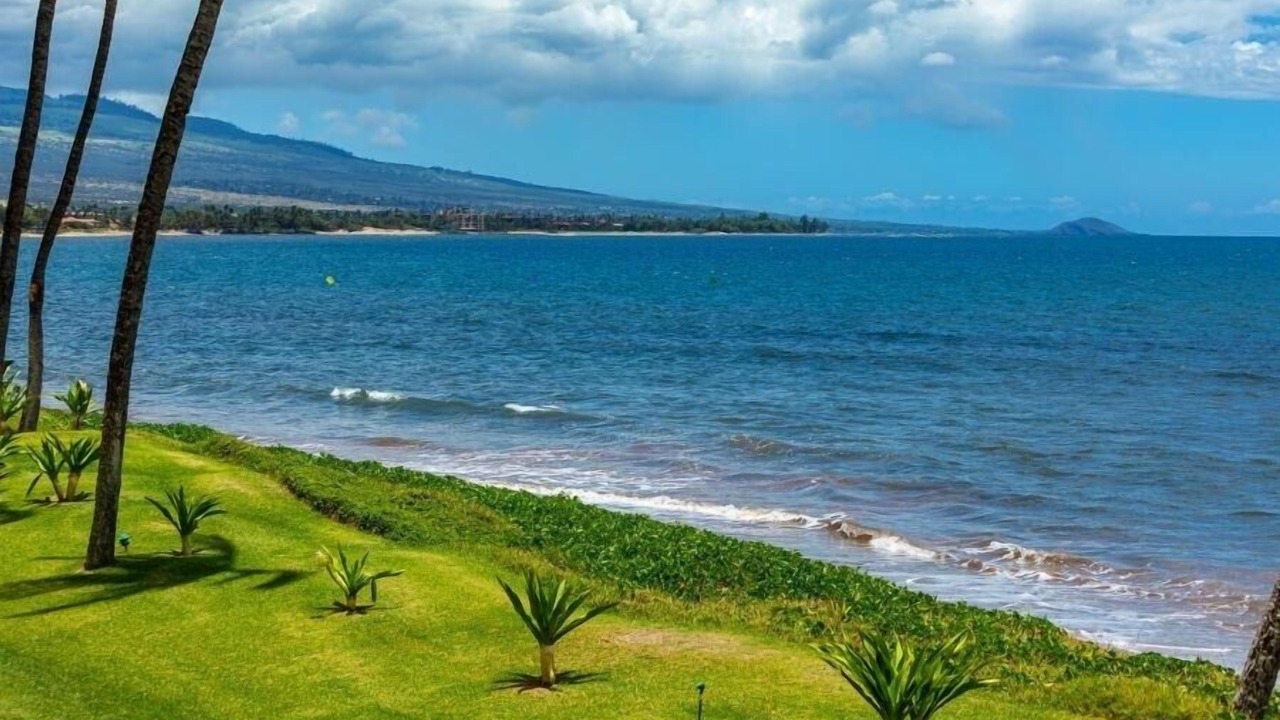 Photo of Others in Kihei