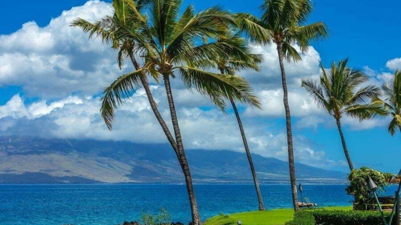Photo of Others in Kihei
