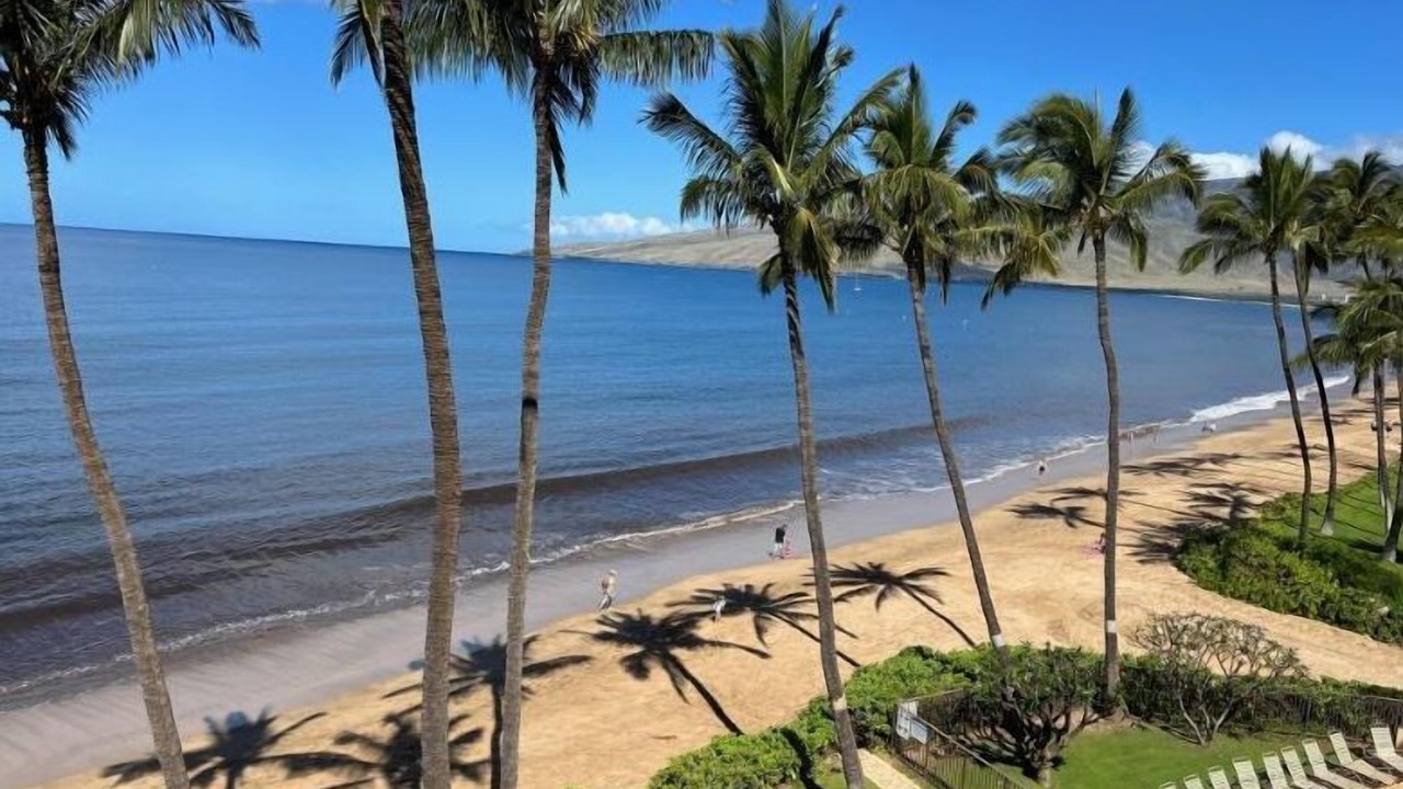 Photo of Others in Kihei