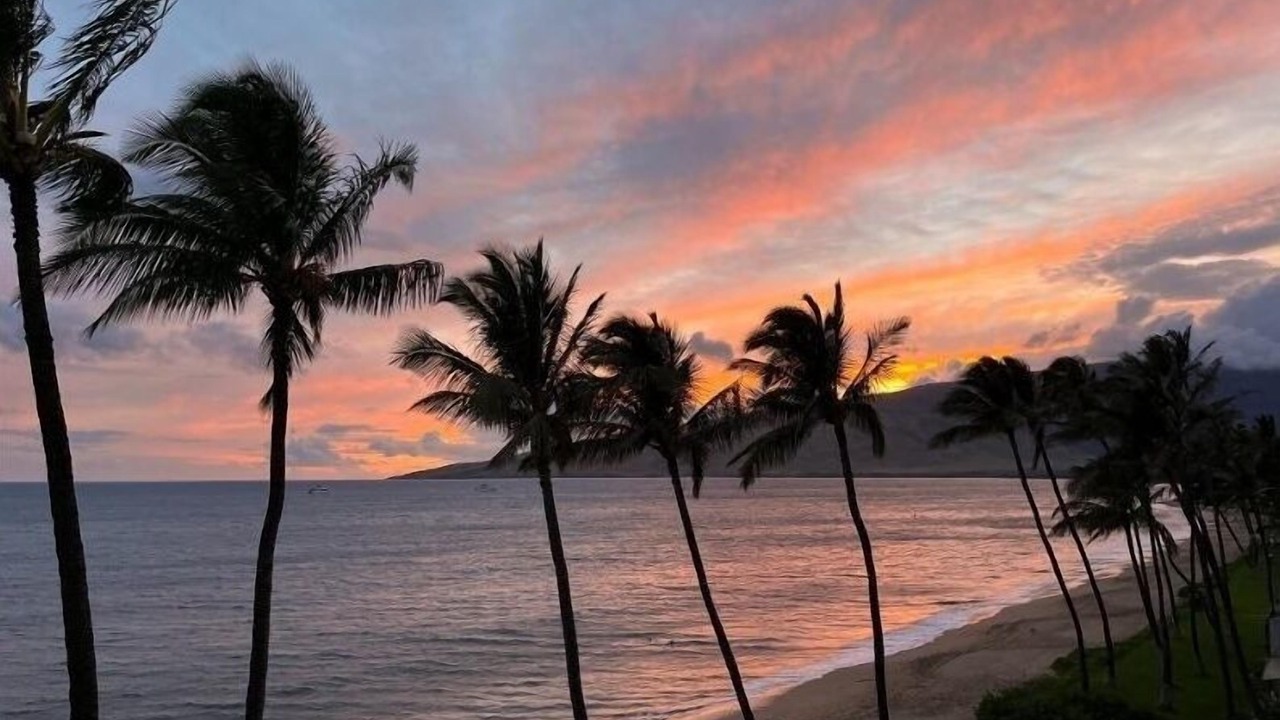 Photo of Others in Kihei