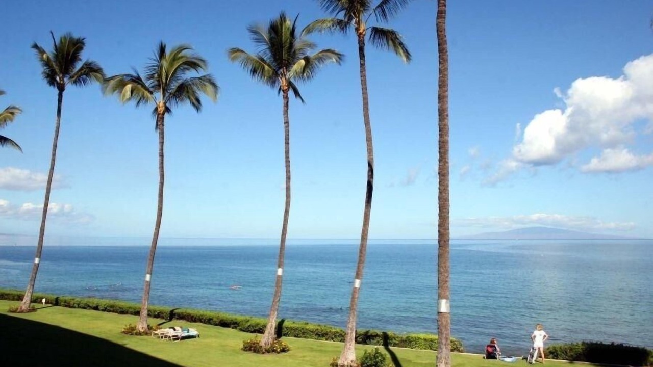 Photo of Others in Kihei
