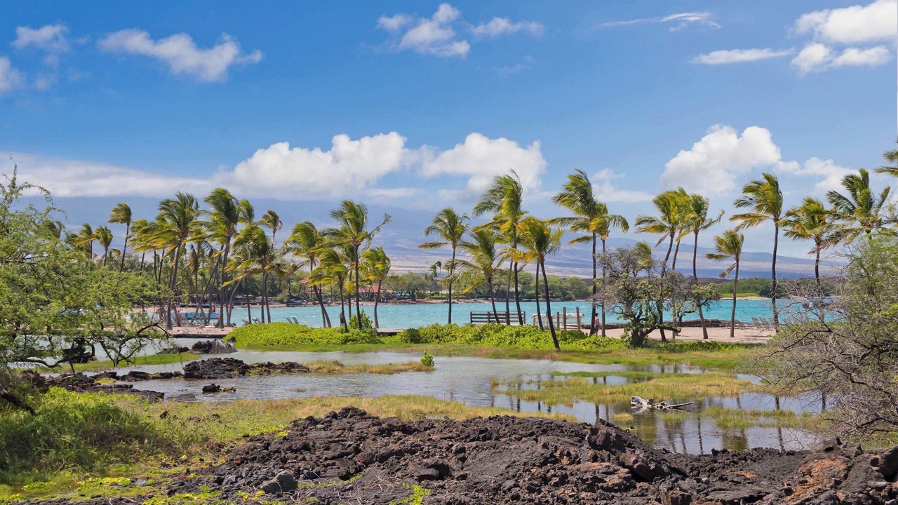 Photo of Others in Waikoloa