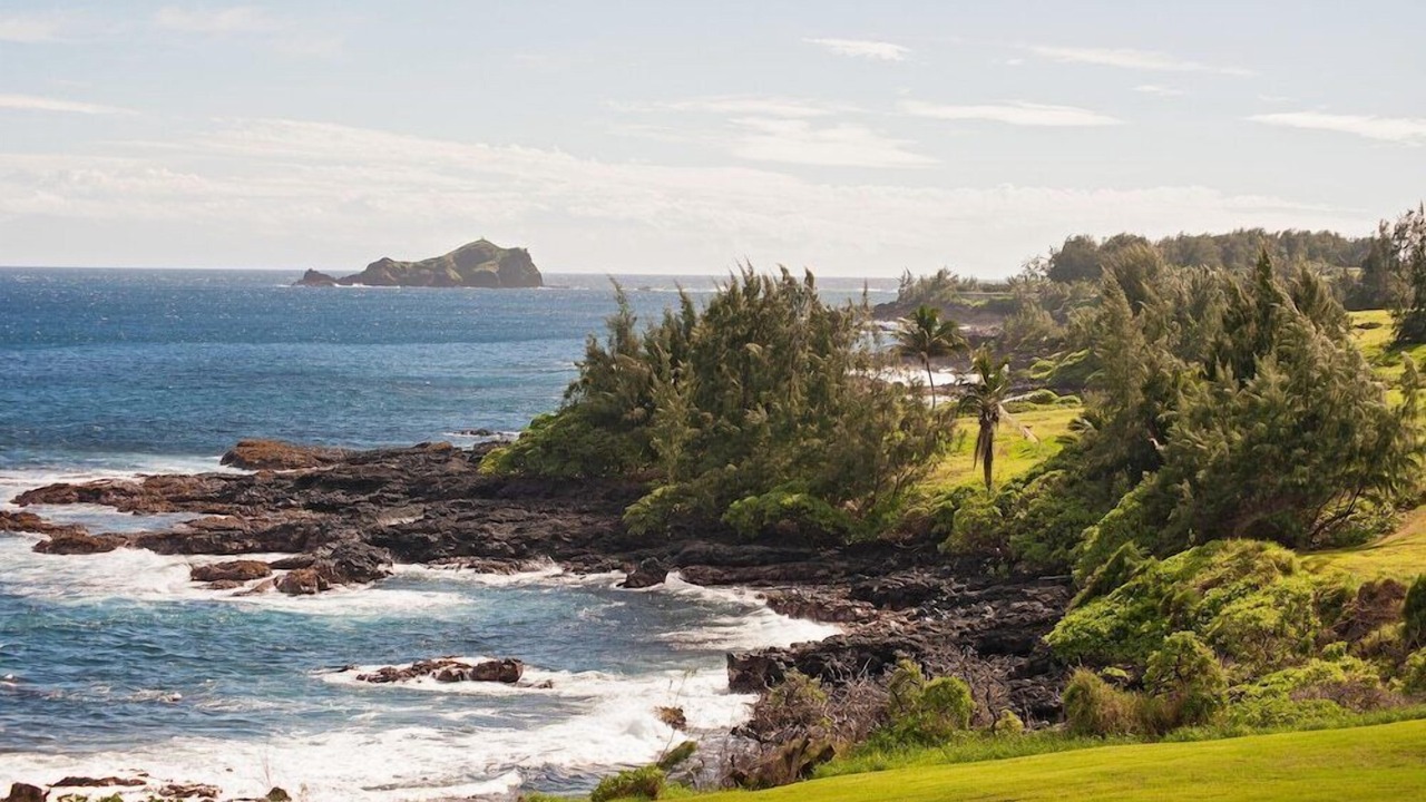 Photo of Others in Hana