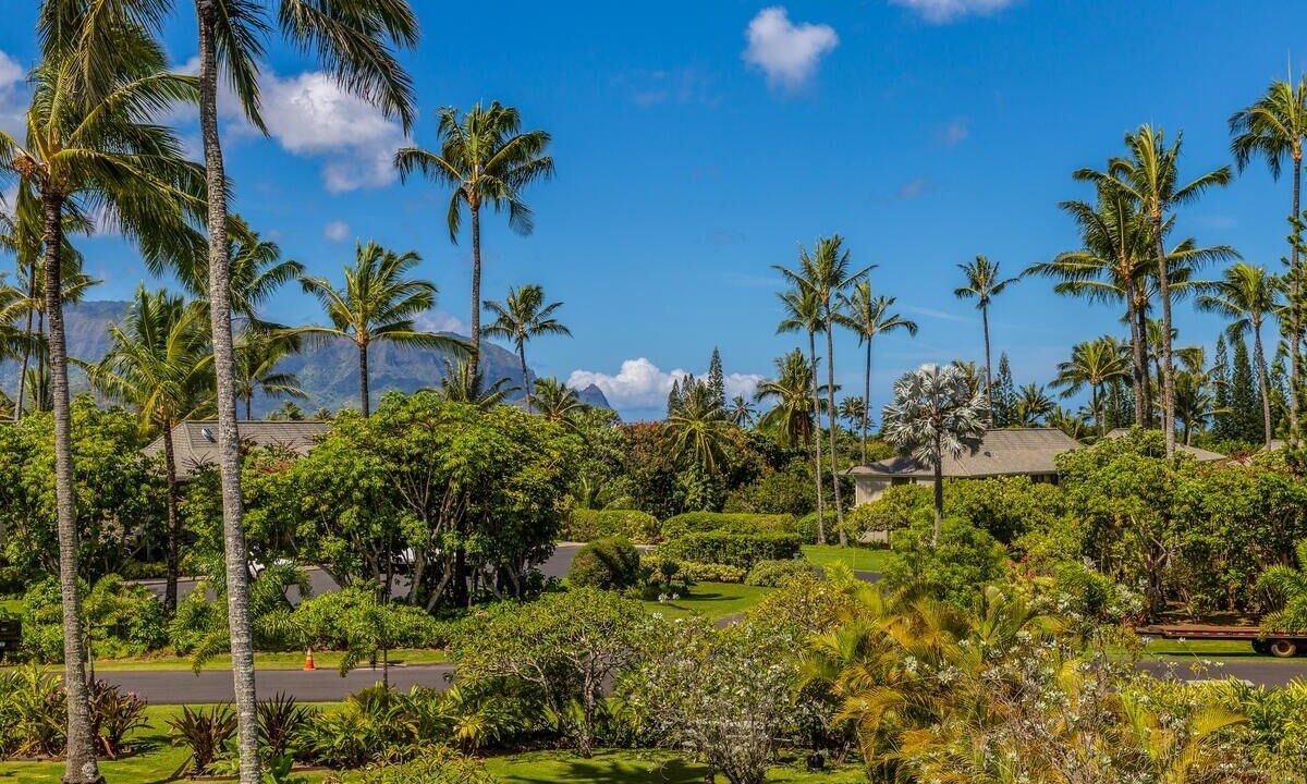 Photo of Others in Princeville