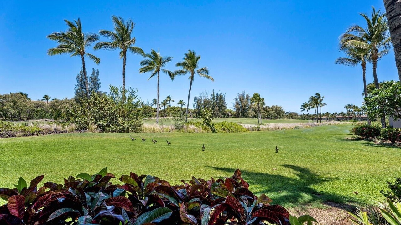 Photo of Others in Waikoloa