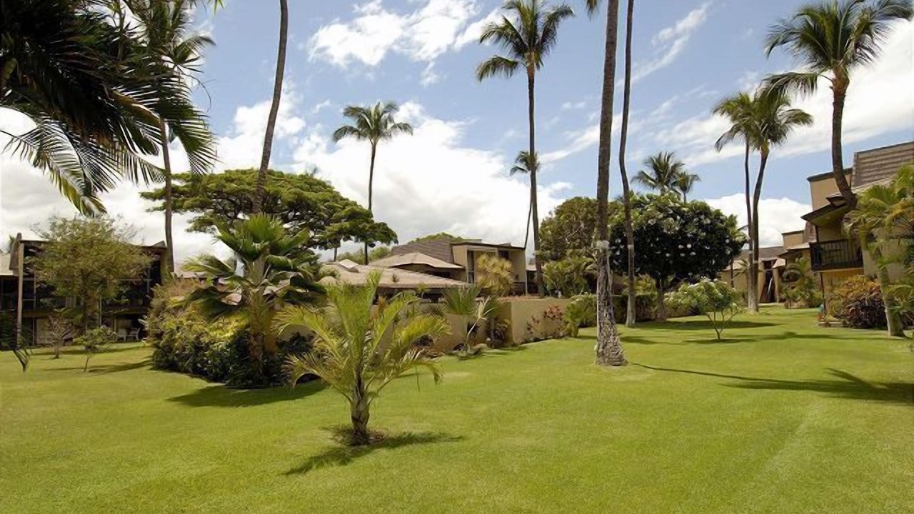 Photo of Others in Kihei
