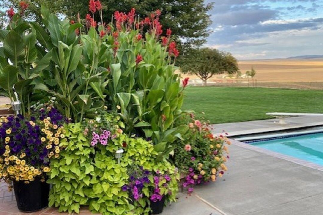 Photo of Outdoor in Adams