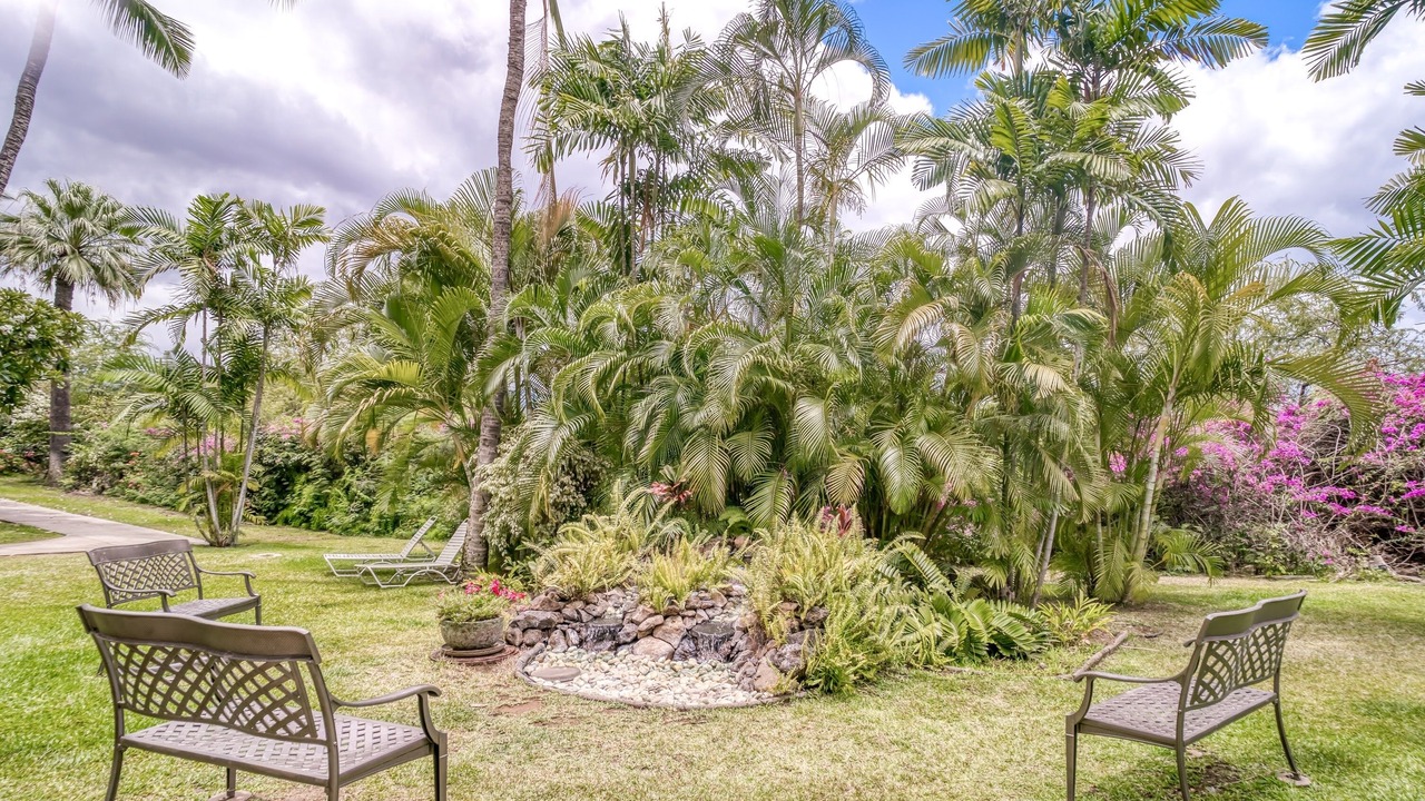 Photo of Outdoor in Kihei