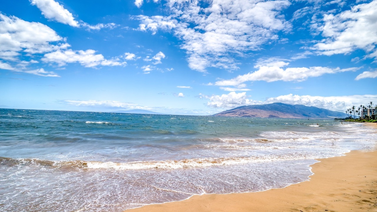 Photo of Others in Kihei