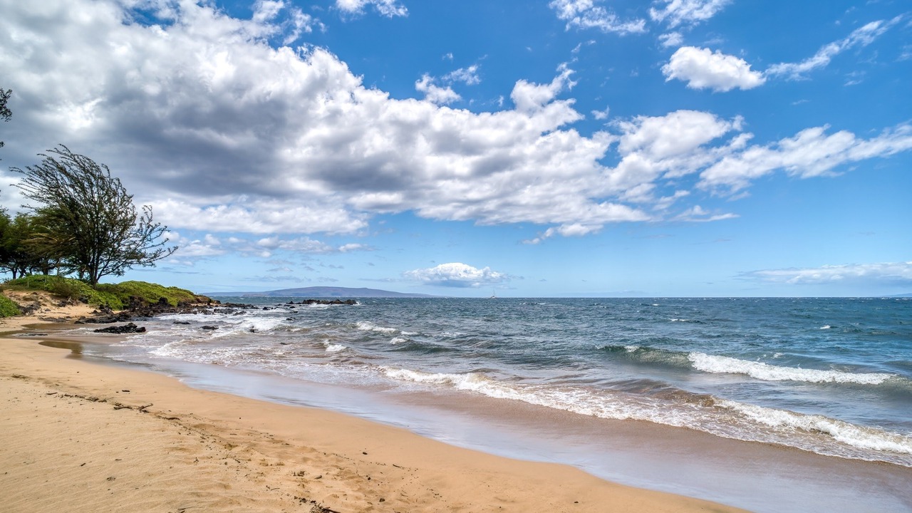 Photo of Others in Kihei