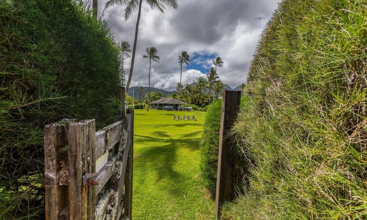 Photo of Others in Hanalei