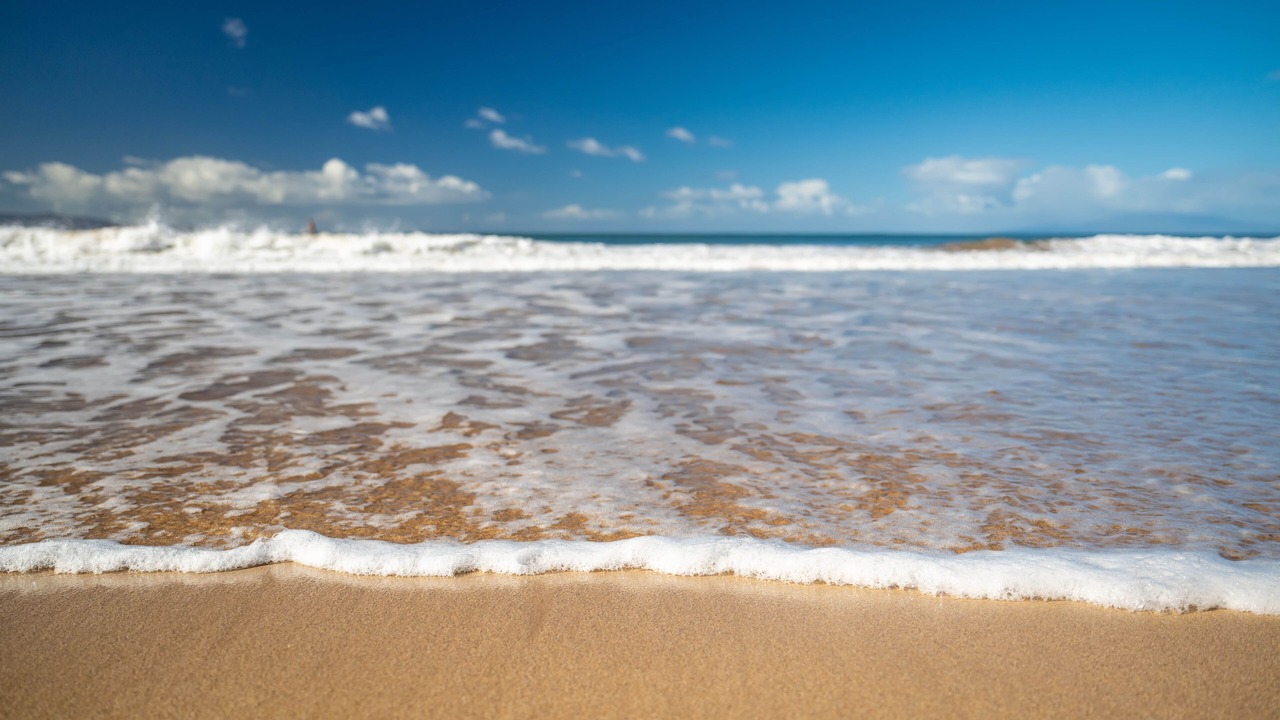 Photo of Others in Kihei