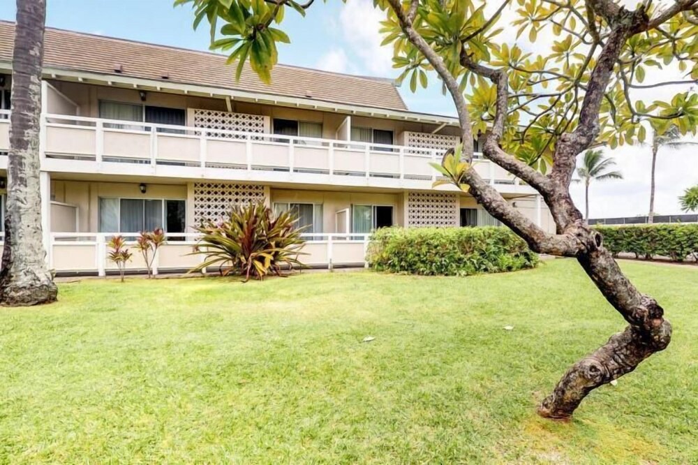 Photo of Outdoor in Wailua
