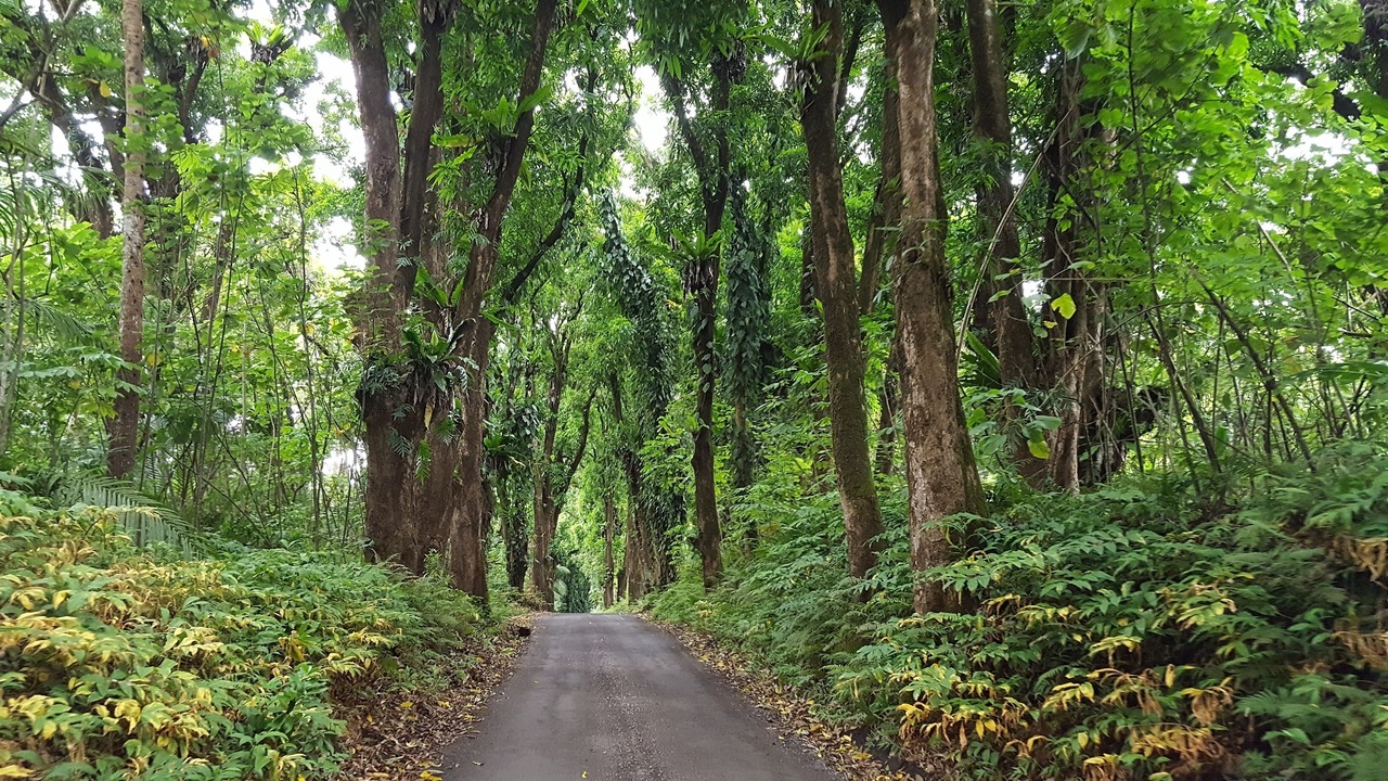 Photo of Others in Keaau