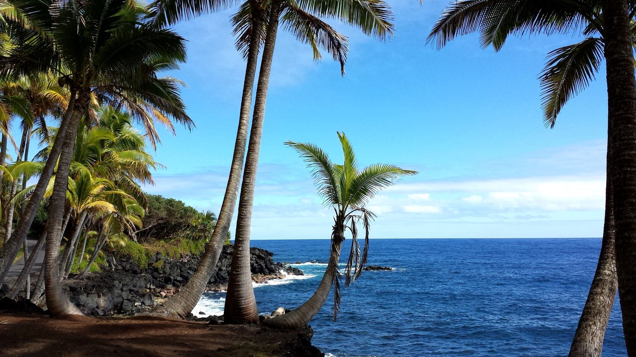 Photo of Others in Keaau