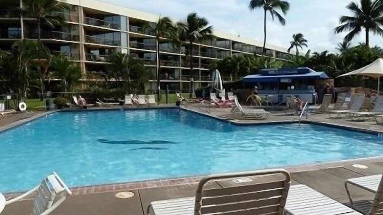 Photo of Outdoor in Kihei
