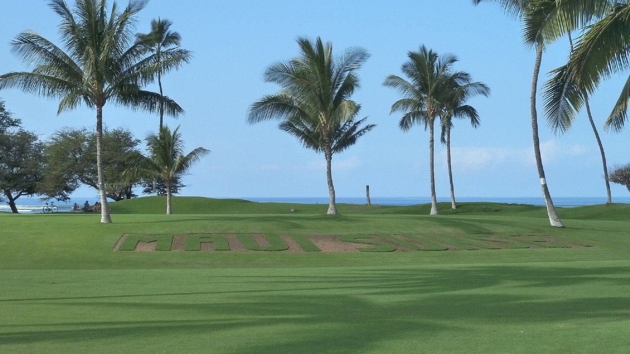 Photo of Others in Kihei