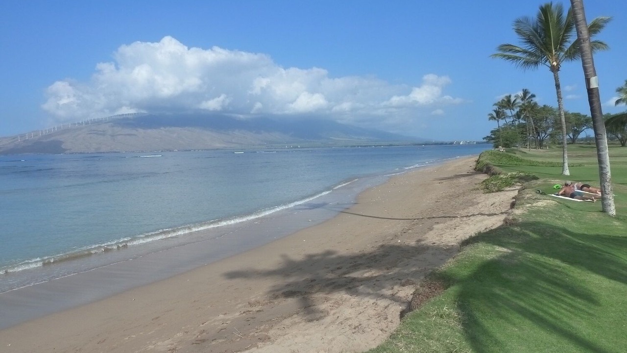Photo of Others in Kihei
