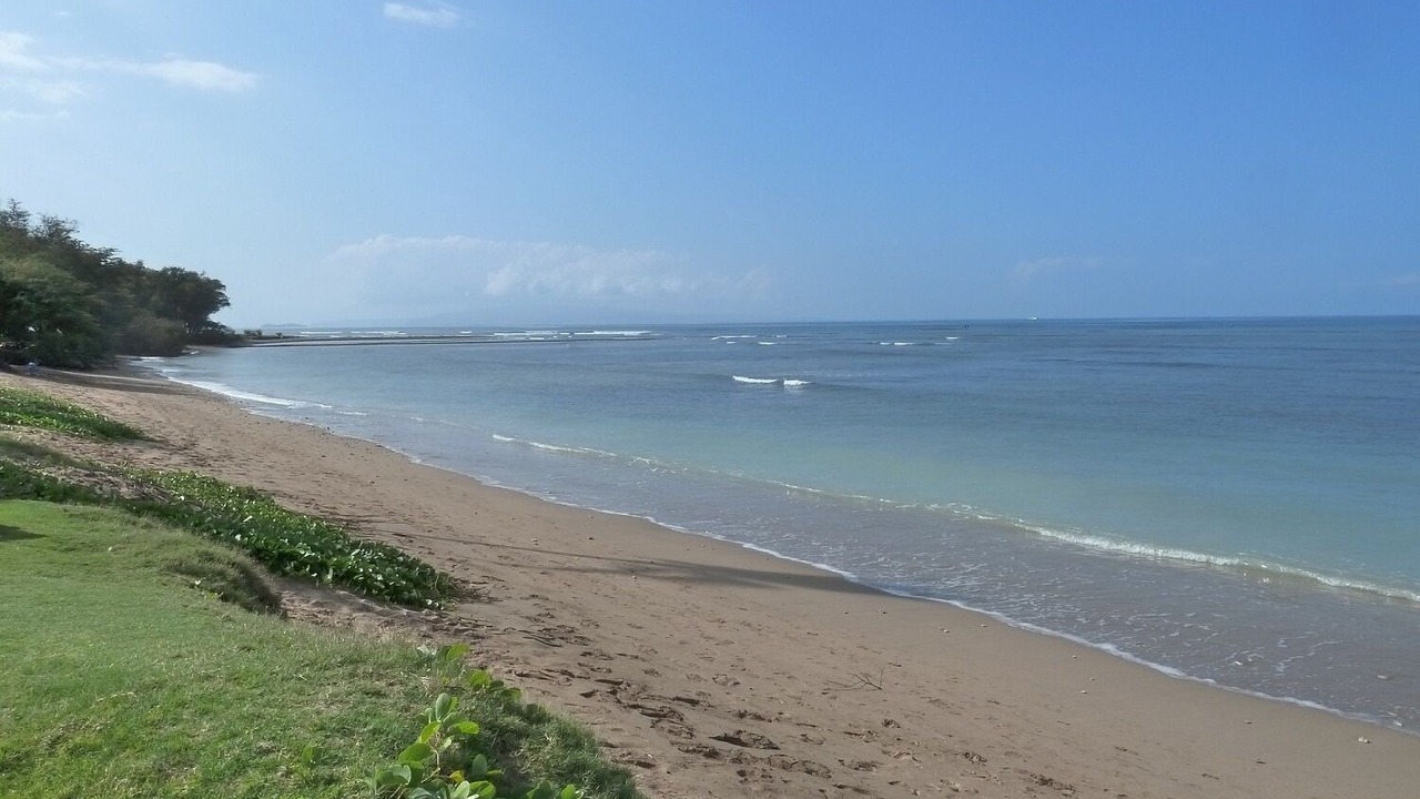 Photo of Others in Kihei