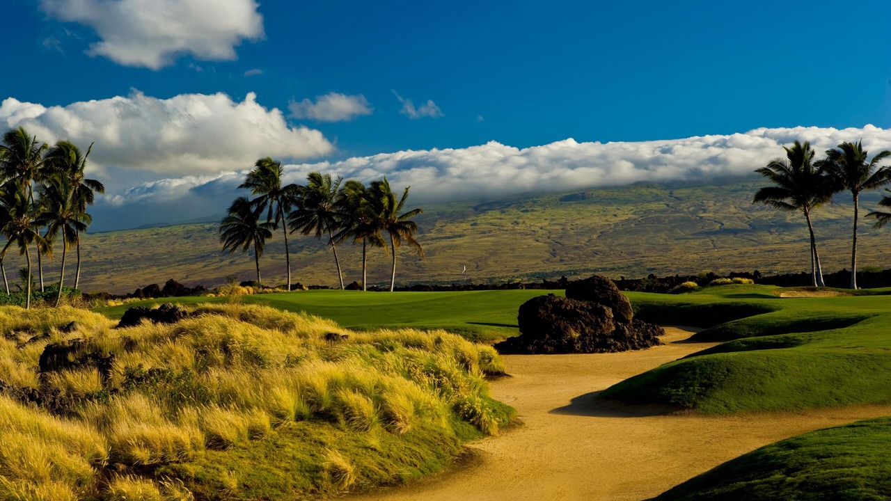 Photo of Others in Waikoloa