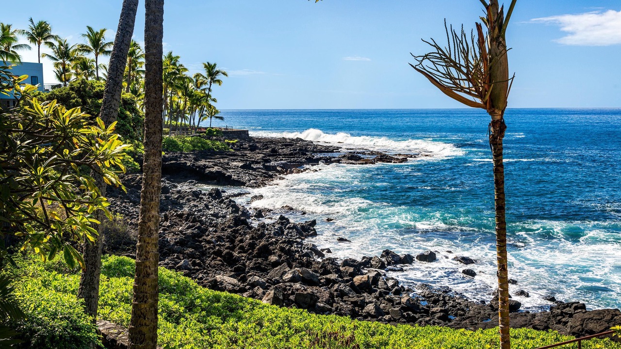 Photo of Others in Kailua-Kona