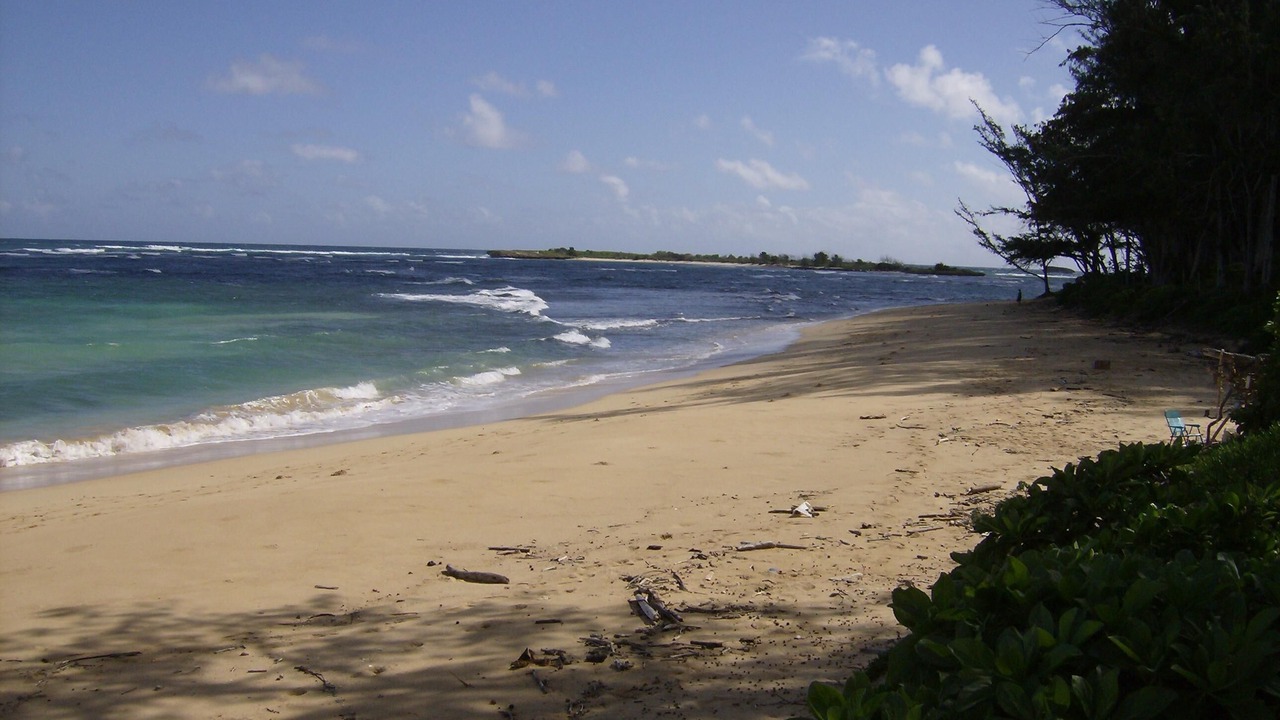 Photo of Others in Laie