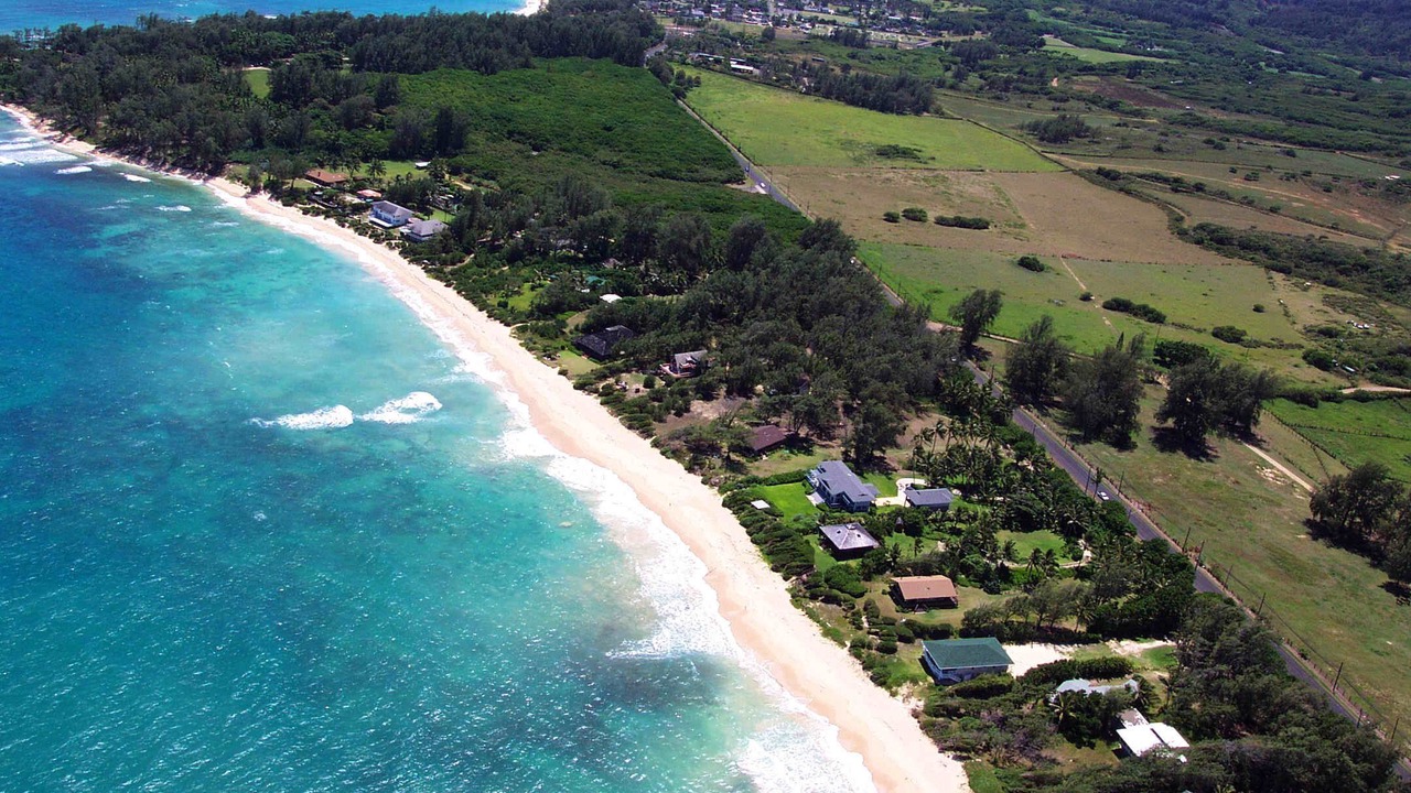 Photo of Others in Laie