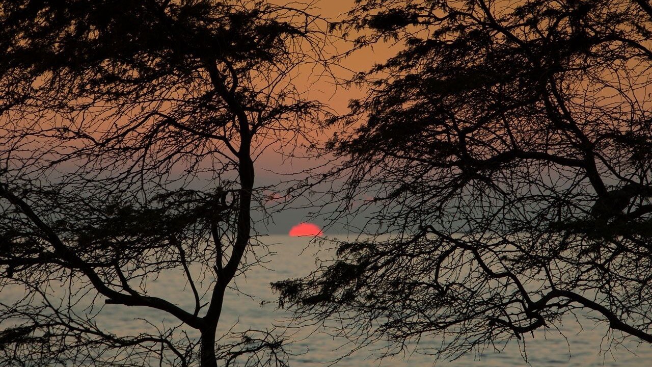 Photo of Others in Kihei