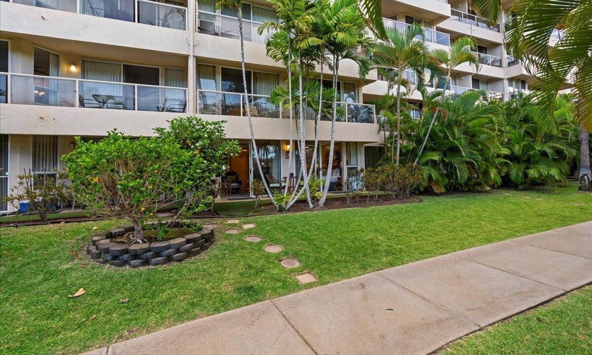 Photo of Outdoor in Kihei