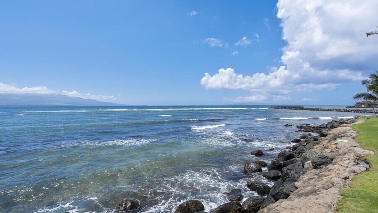 Photo of Others in Kihei