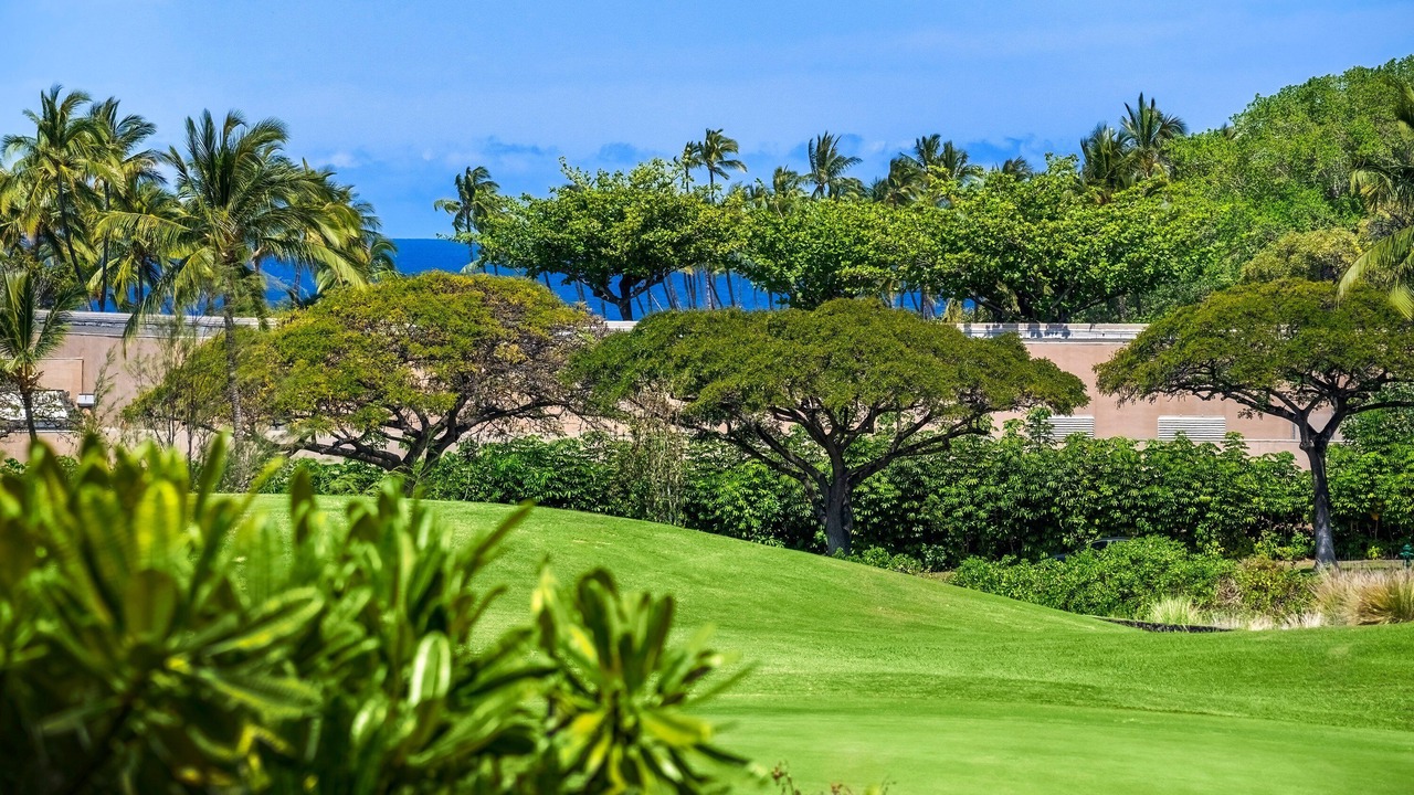 Photo of Others in Waikoloa