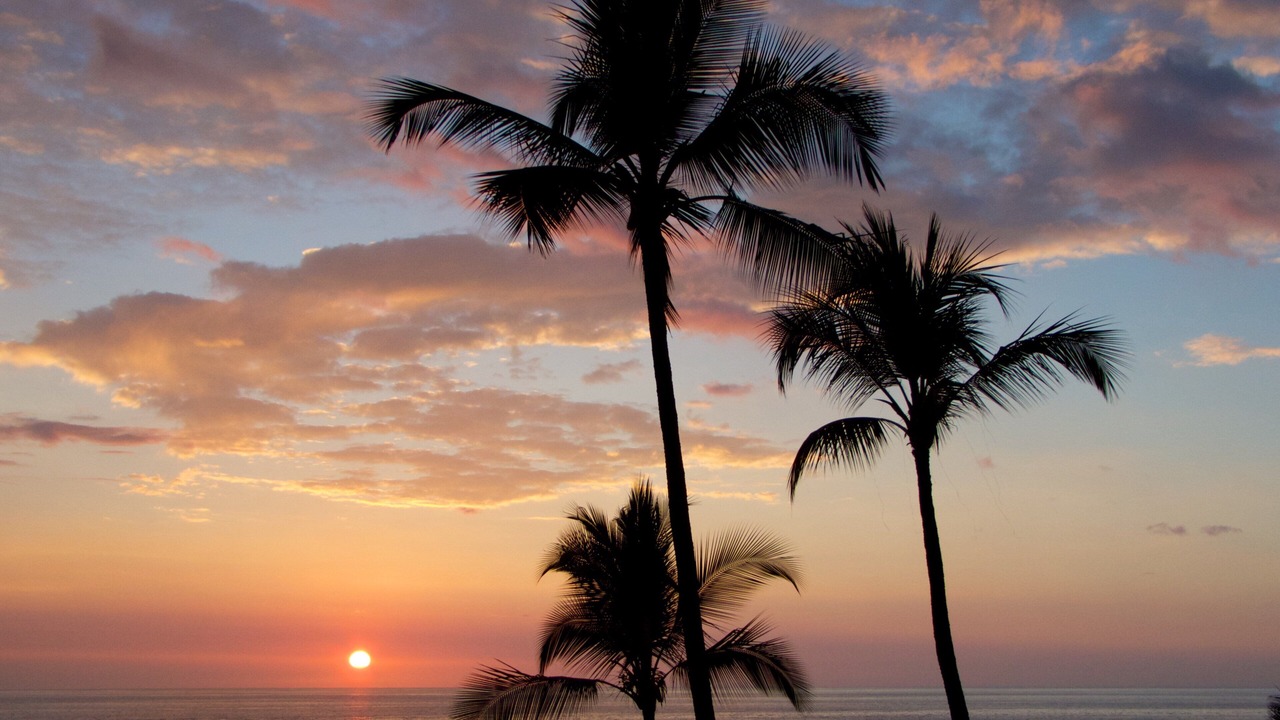 Photo of Others in Kailua-Kona