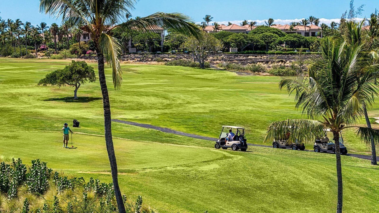 Photo of Others in Waikoloa