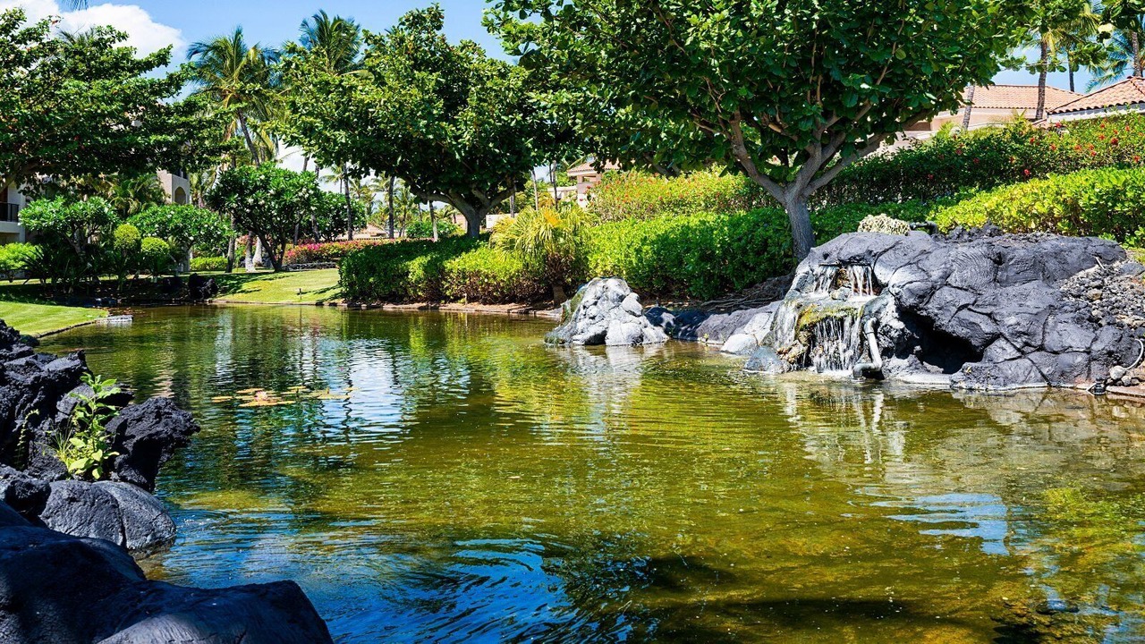 Photo of Outdoor in Waikoloa