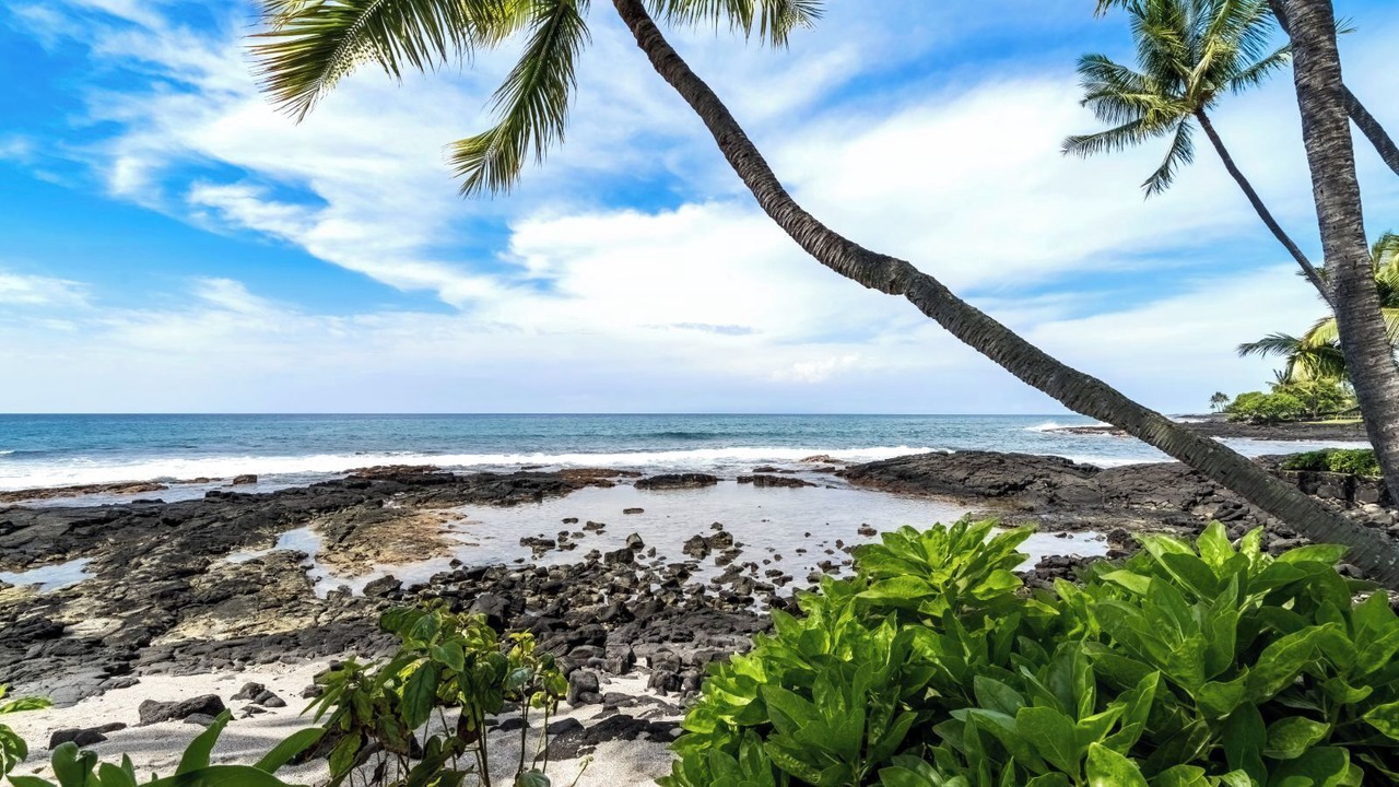 Photo of Others in Kailua-Kona