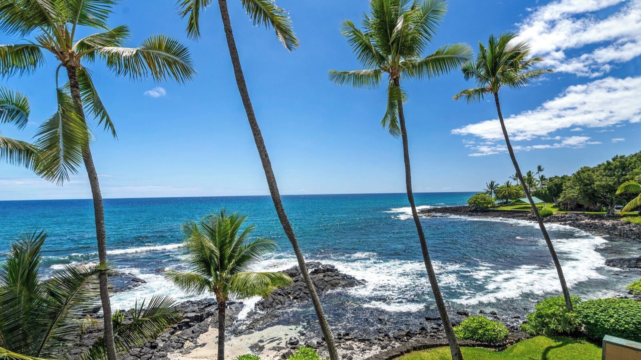 Photo of Others in Kailua-Kona
