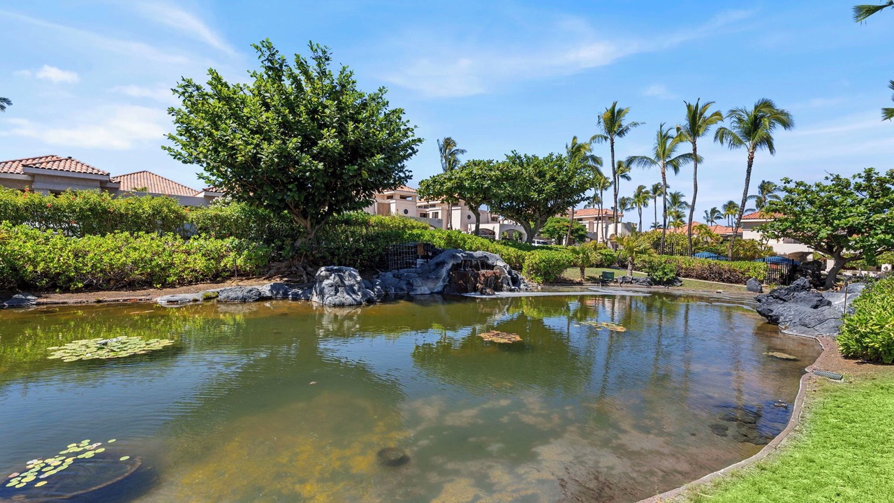 Photo of Outdoor in Waikoloa