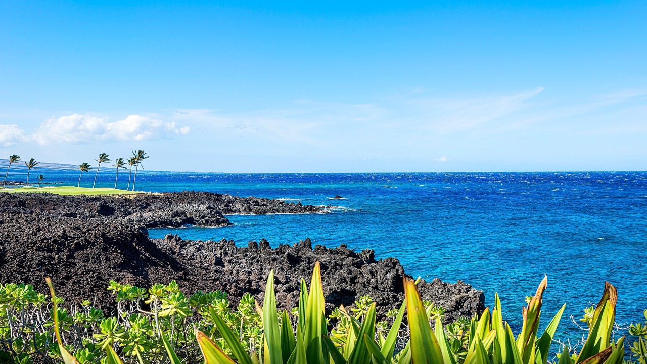 Photo of Outdoor in Waikoloa
