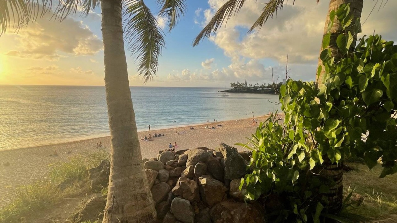Photo of Others in Waianae