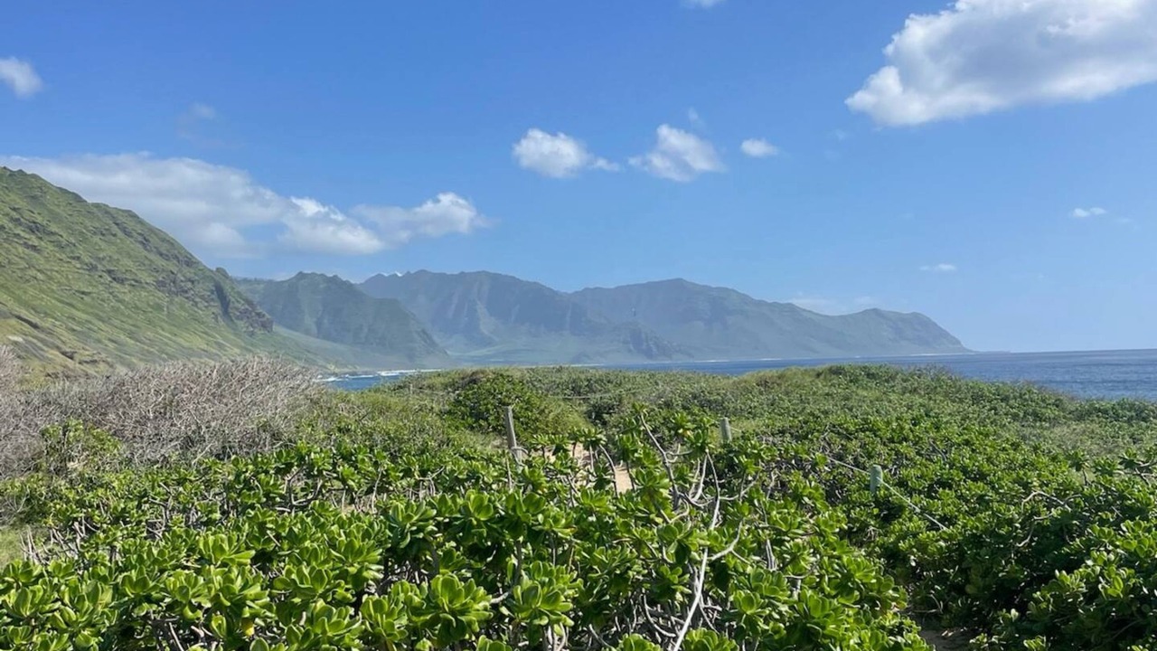 Photo of Others in Waianae