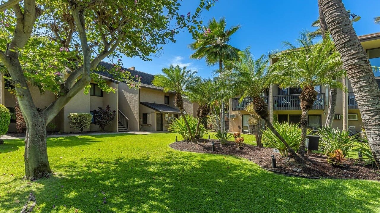 Photo of Outdoor in Kihei