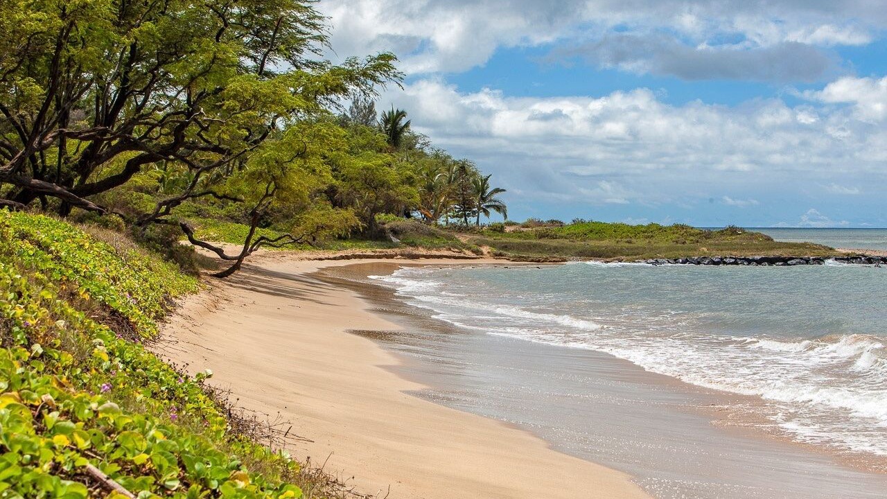 Photo of Others in Kihei