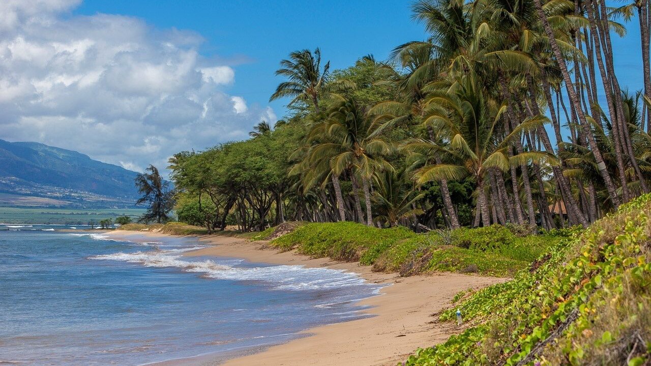 Photo of Others in Kihei