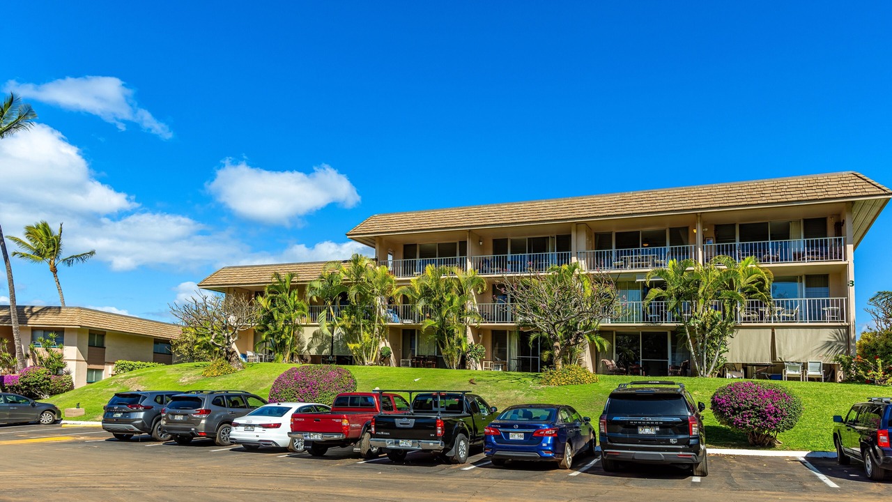 Photo of Outdoor in Kihei