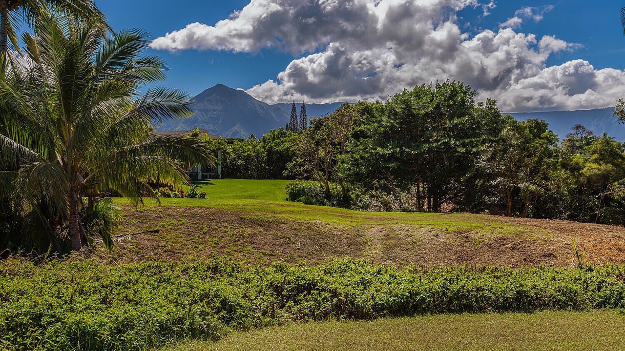 Photo of Others in Princeville