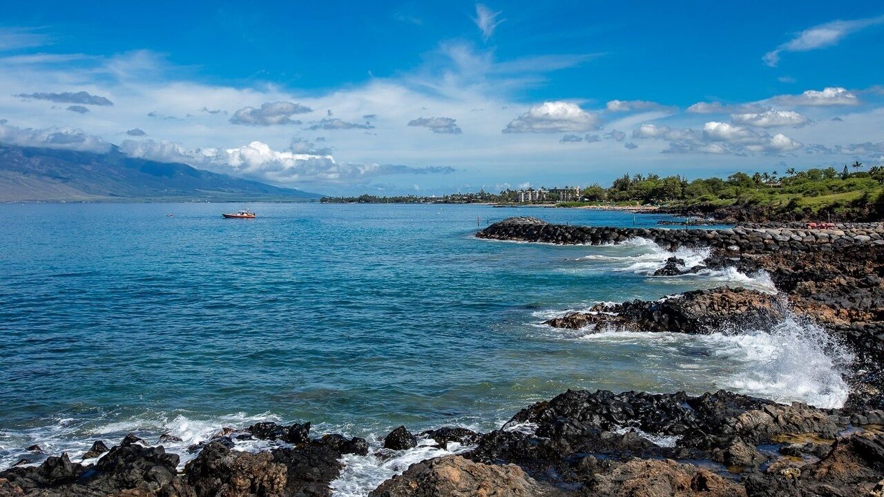 Photo of Others in Kihei