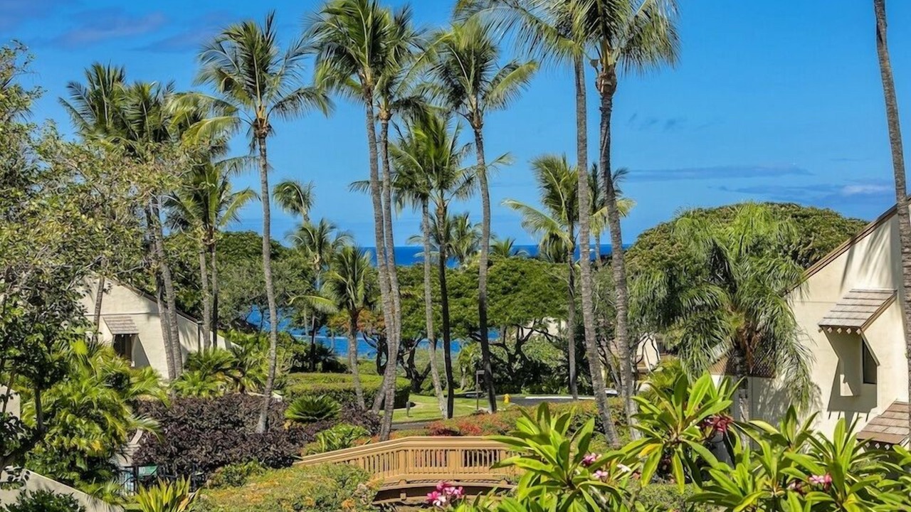 Photo of Others in Kihei